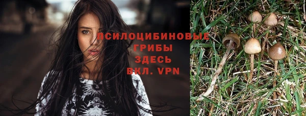 герыч Медногорск