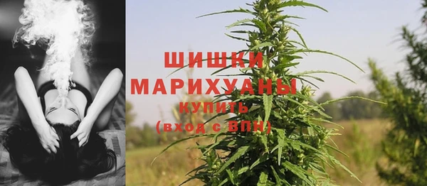 прущие грибы Майский